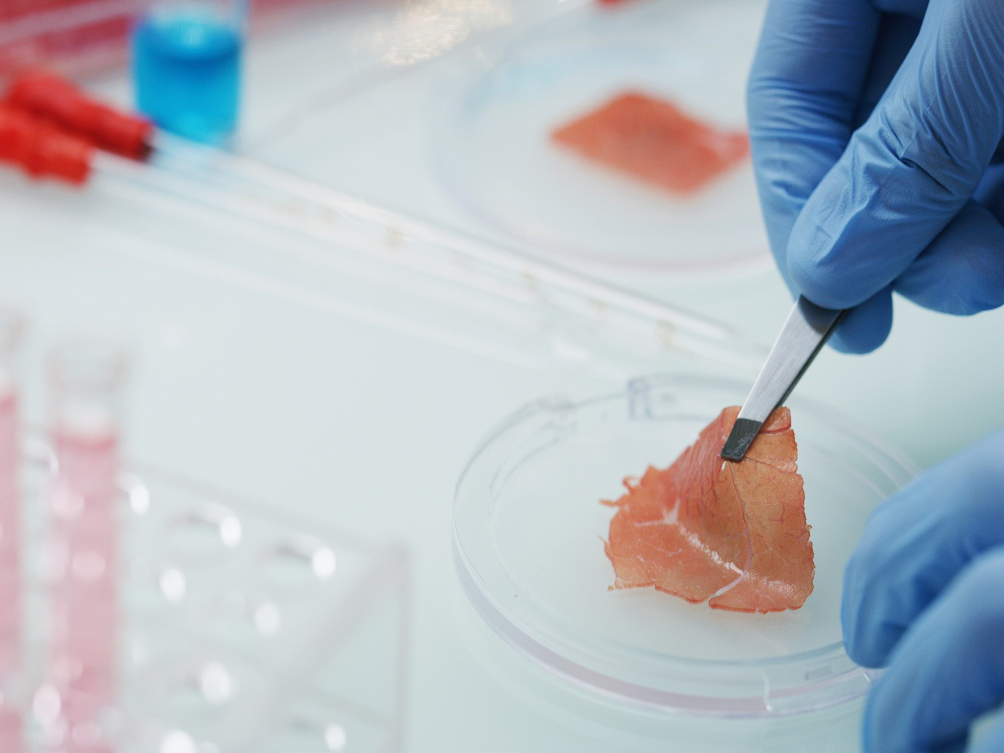 Clever Carnivore opens new Chicago headquarters and lab