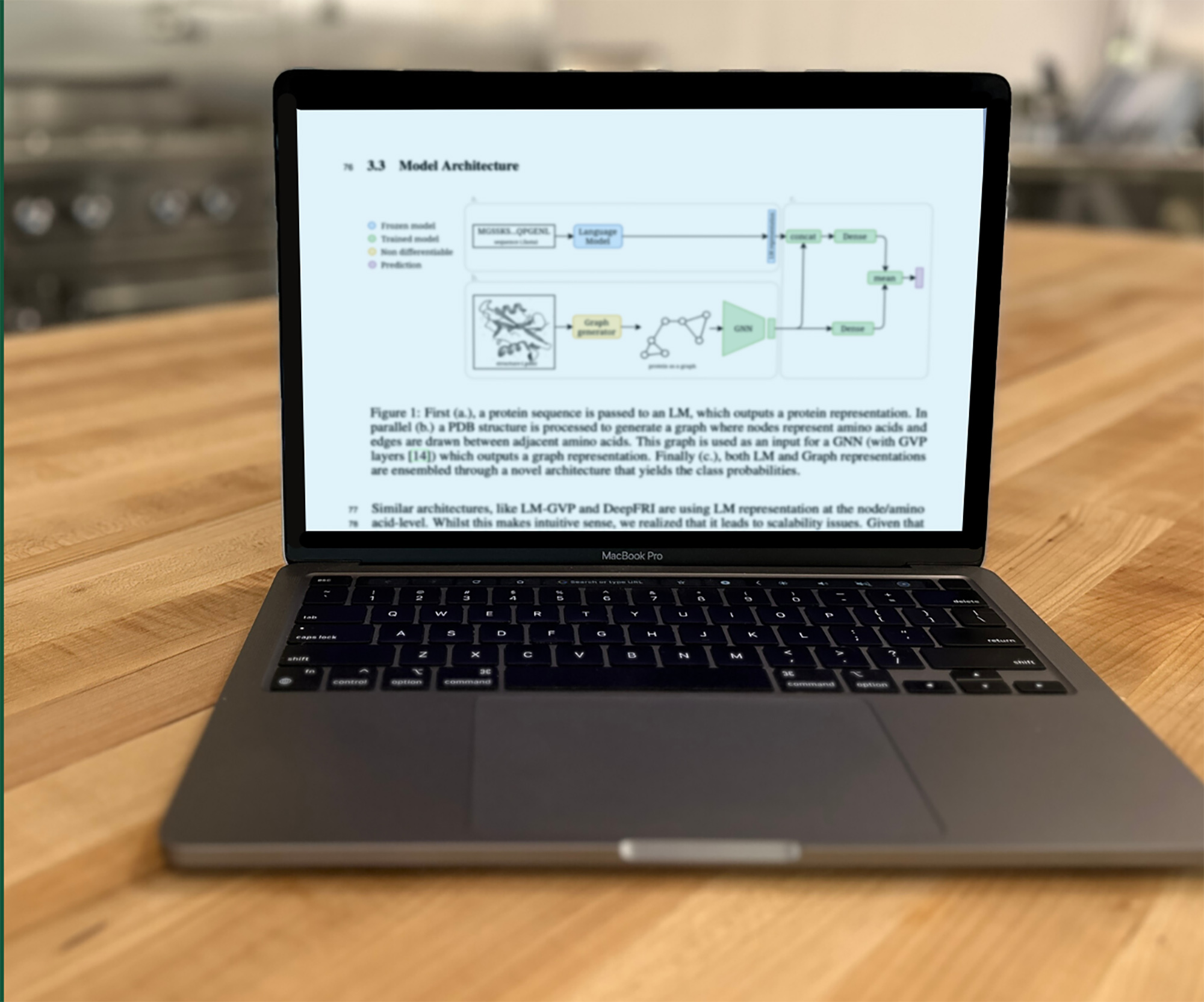 Shiru presents a better AI approach for protein function prediction