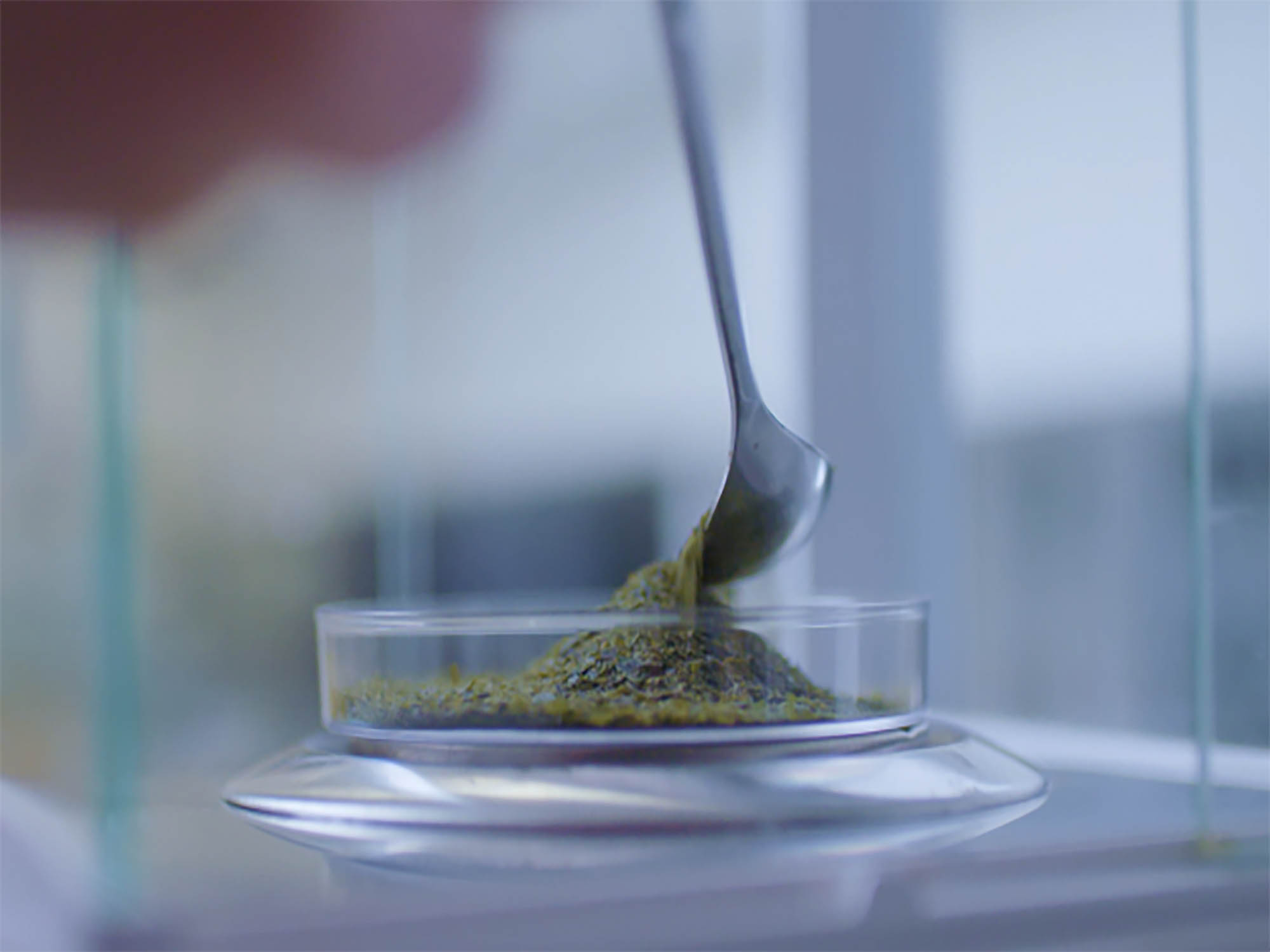 Oceanium unveils clean-label methylcellulose replacement from seaweed