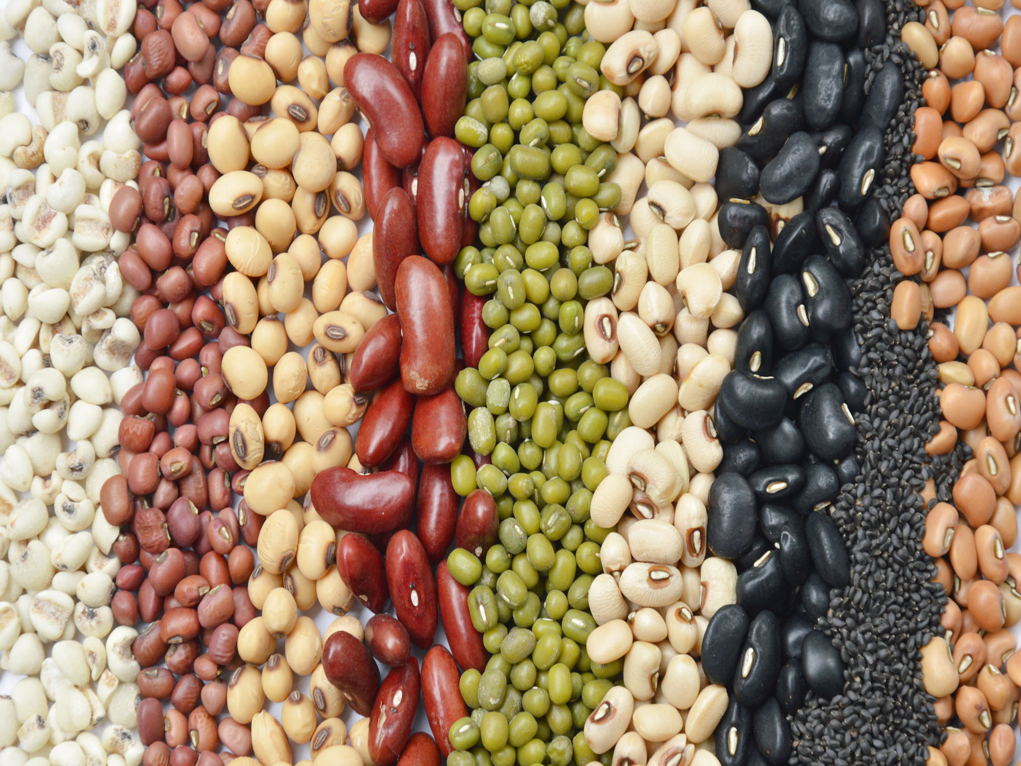 Plant‑based protein, the pandemic and the agrifood supply chain