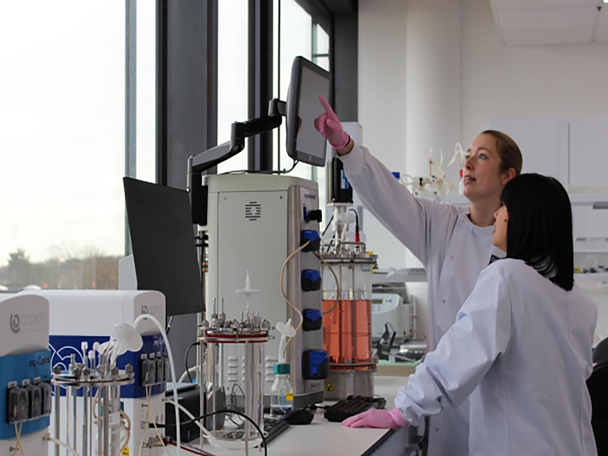 Bluu Seafood reaches essential milestone with fish cells growing in suspension