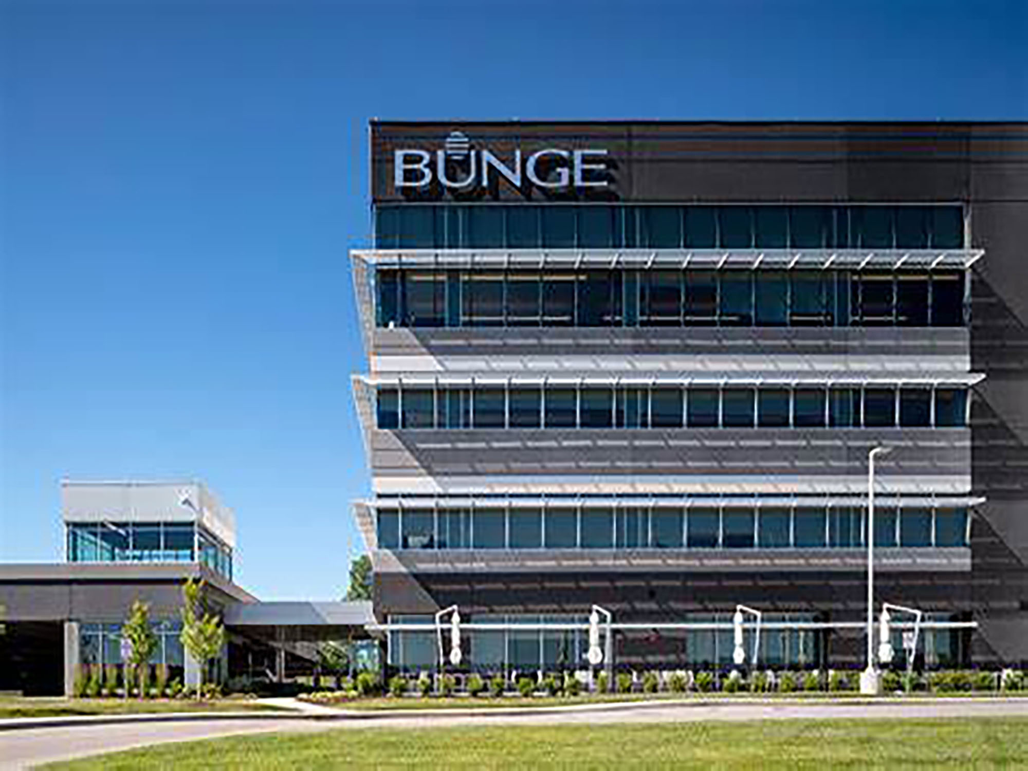 Bunge to invest in new protein concentrate facility in the USA