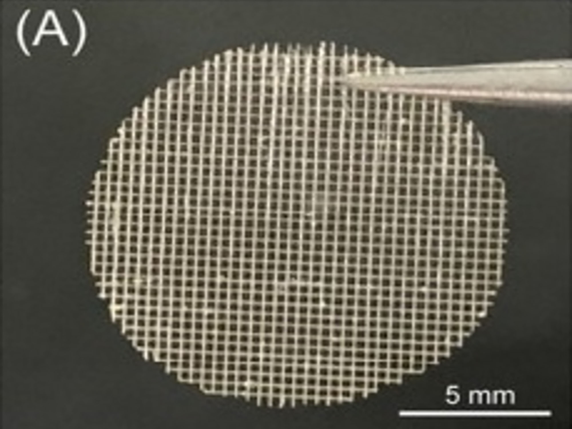 New 3D-printing ink could make cultured meat more cost-effective
