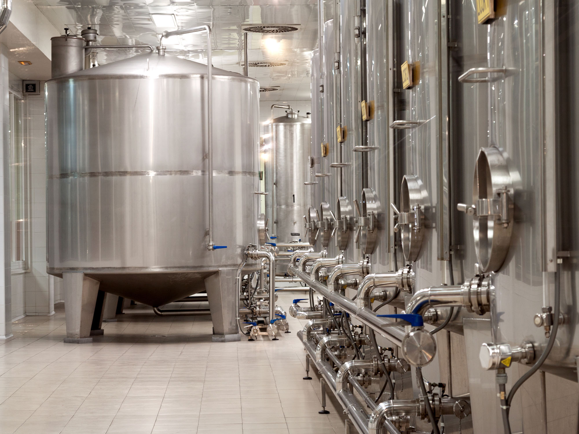 Israel Innovation Authority establishes infrastructure for fermentation of microorganisms for nutrients