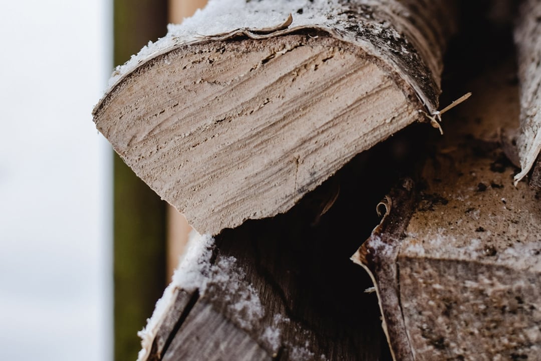 Best Canadian Bed Frames Quagga Designs