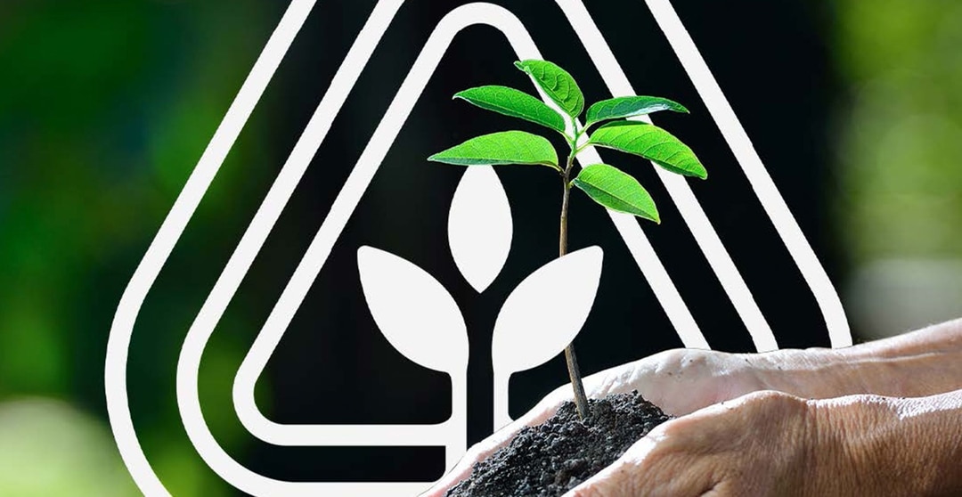 UK Leather Repair Services Near Me Leather Repair Company