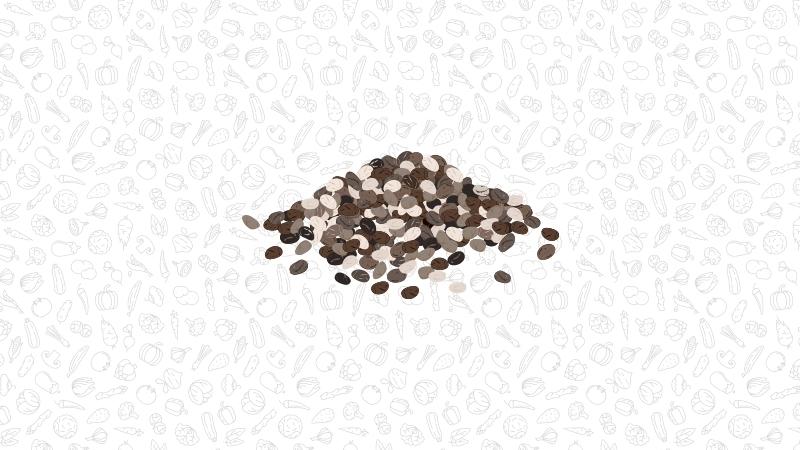 an illustration of a pile of chia seeds
