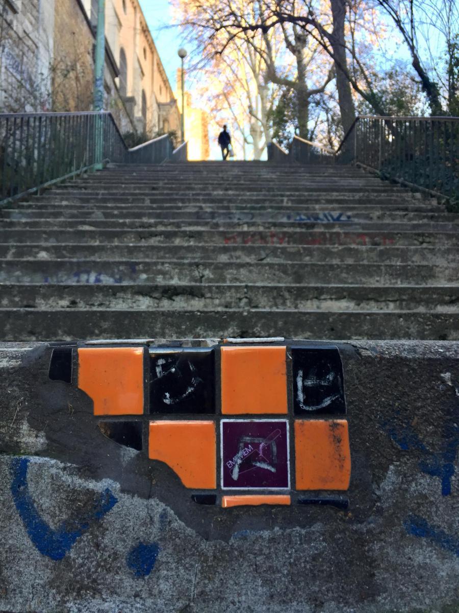 Image de street art à Lyon flacking Ememem