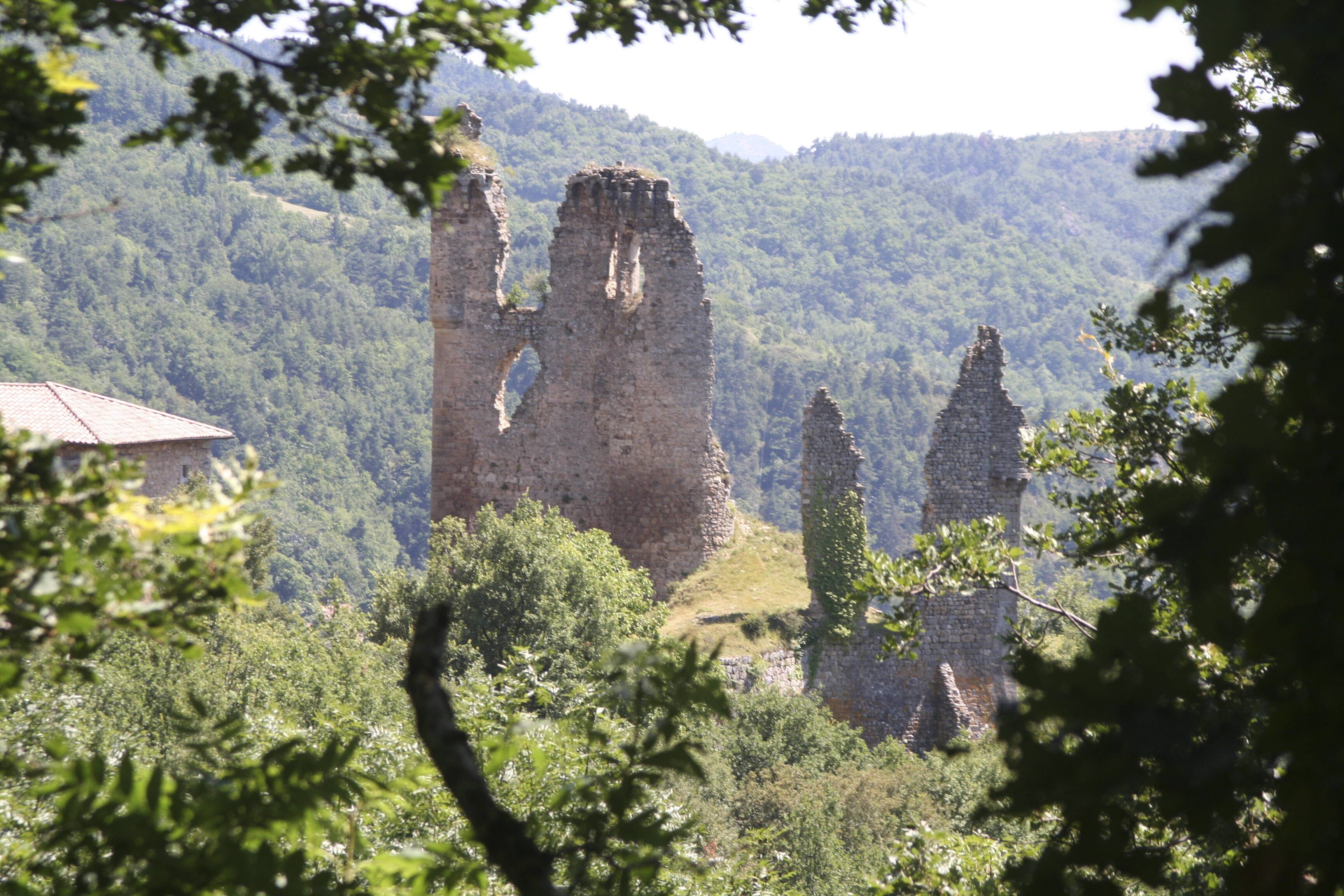 Photographie