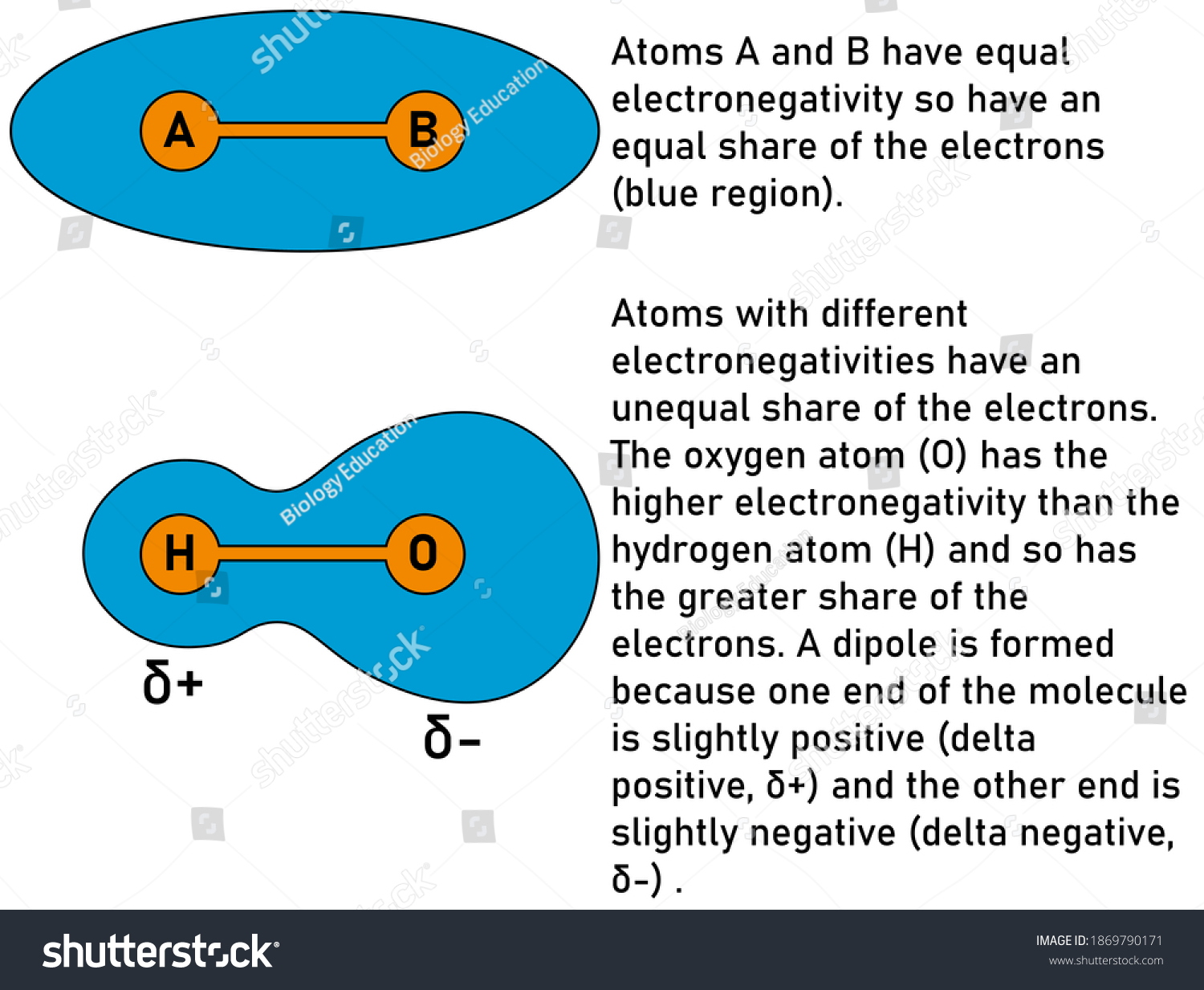 Electronegativity chart helps forecast the polarity as well as the covalent or ionic interactions between atoms