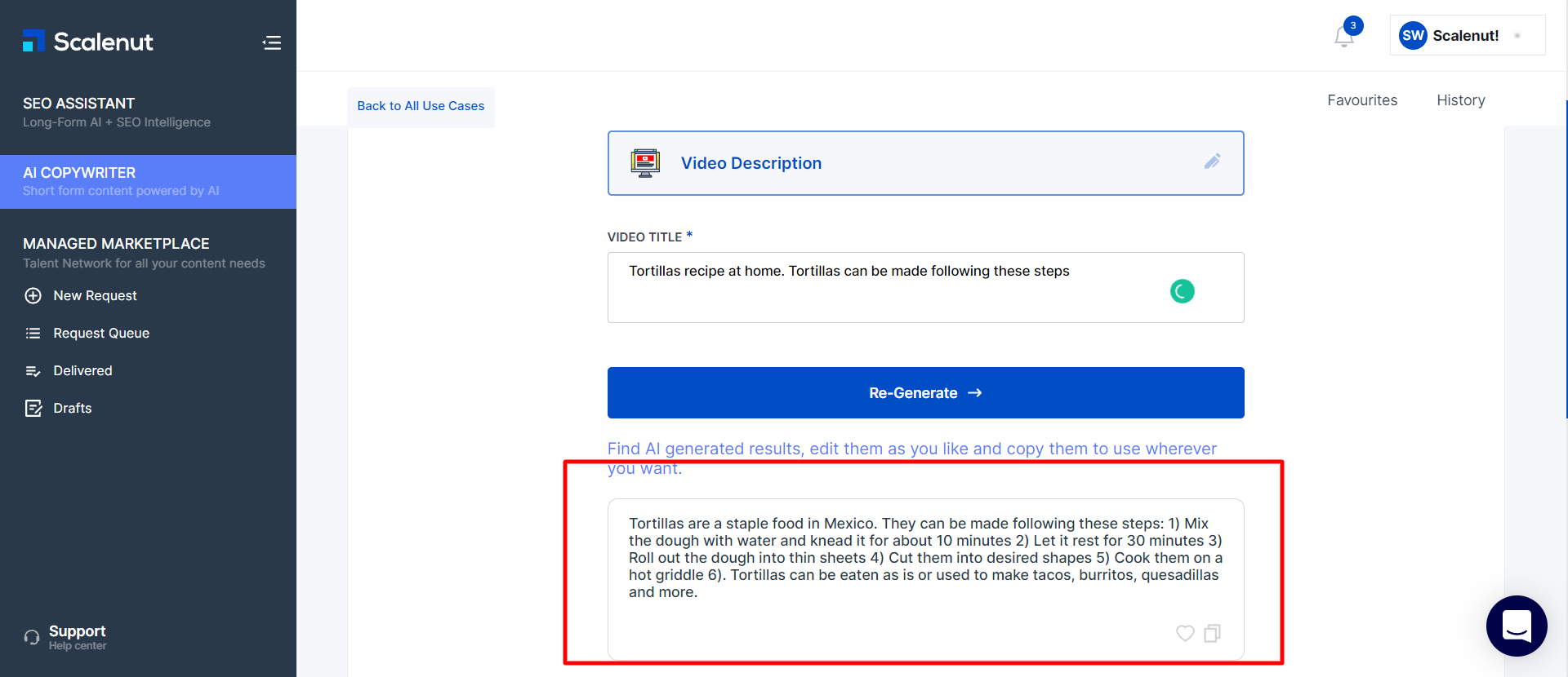 Video Script description template