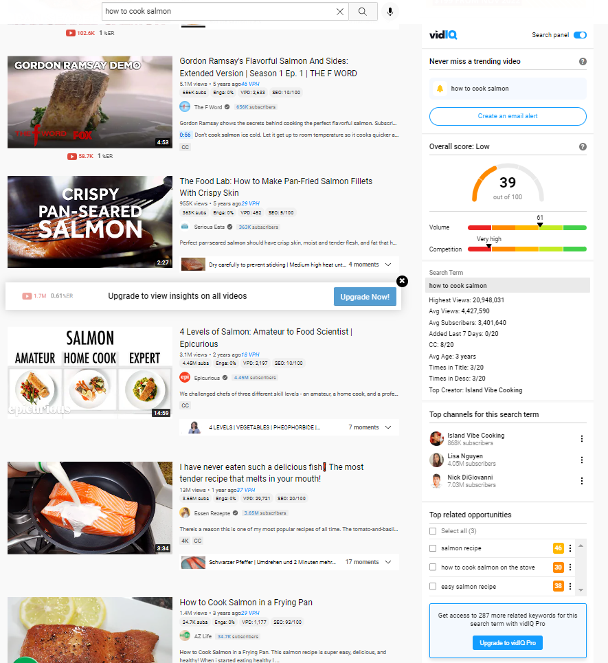 Screenshot of vidIQ chrome extension results