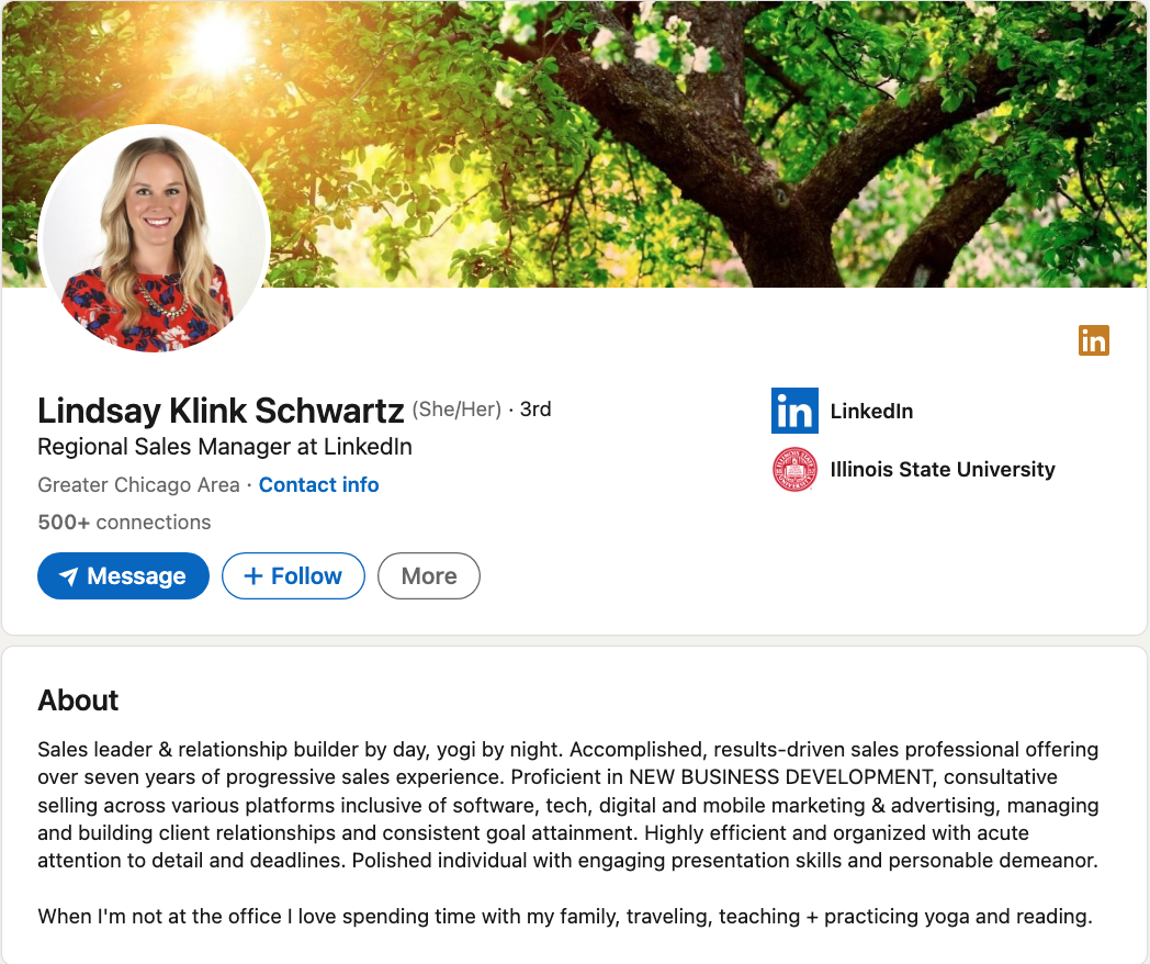 Sales leader bio example: Lindsay Klink Schwartz