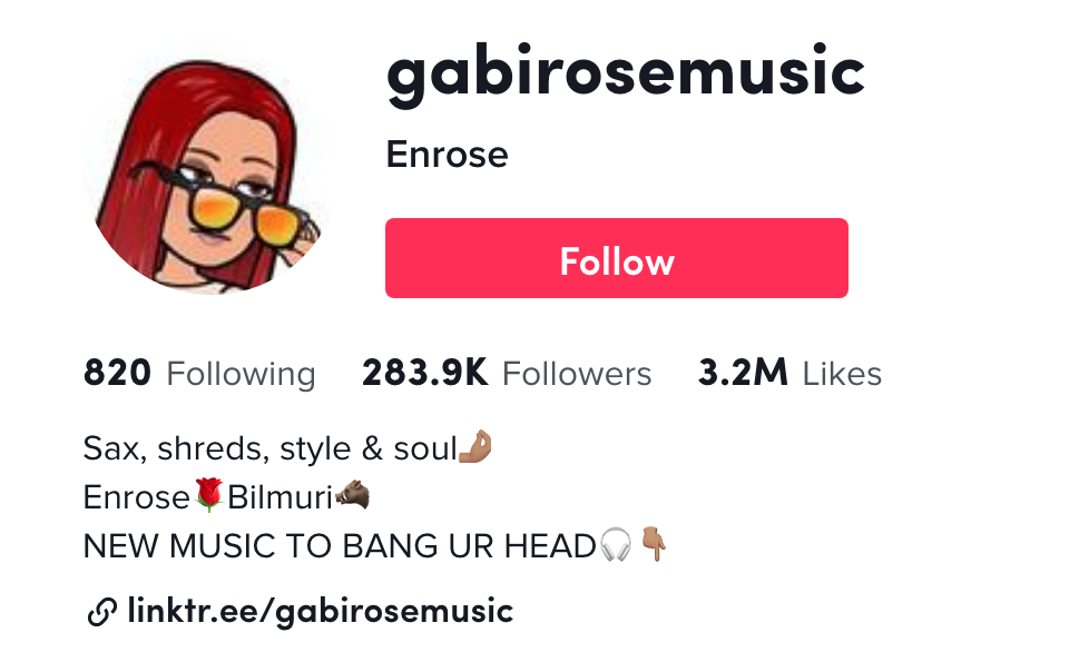 TikTok bio example: Gabi Rose