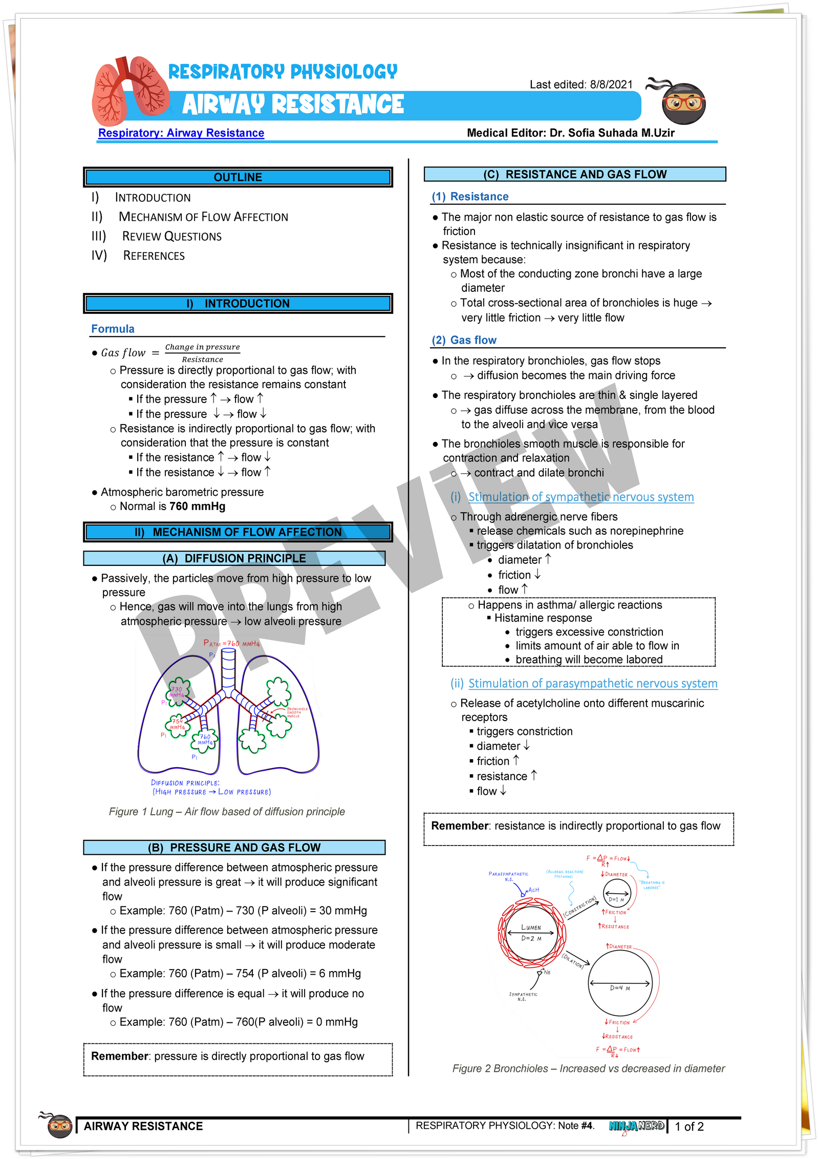 Airway Resistance Notes NinjaNerd Medicine