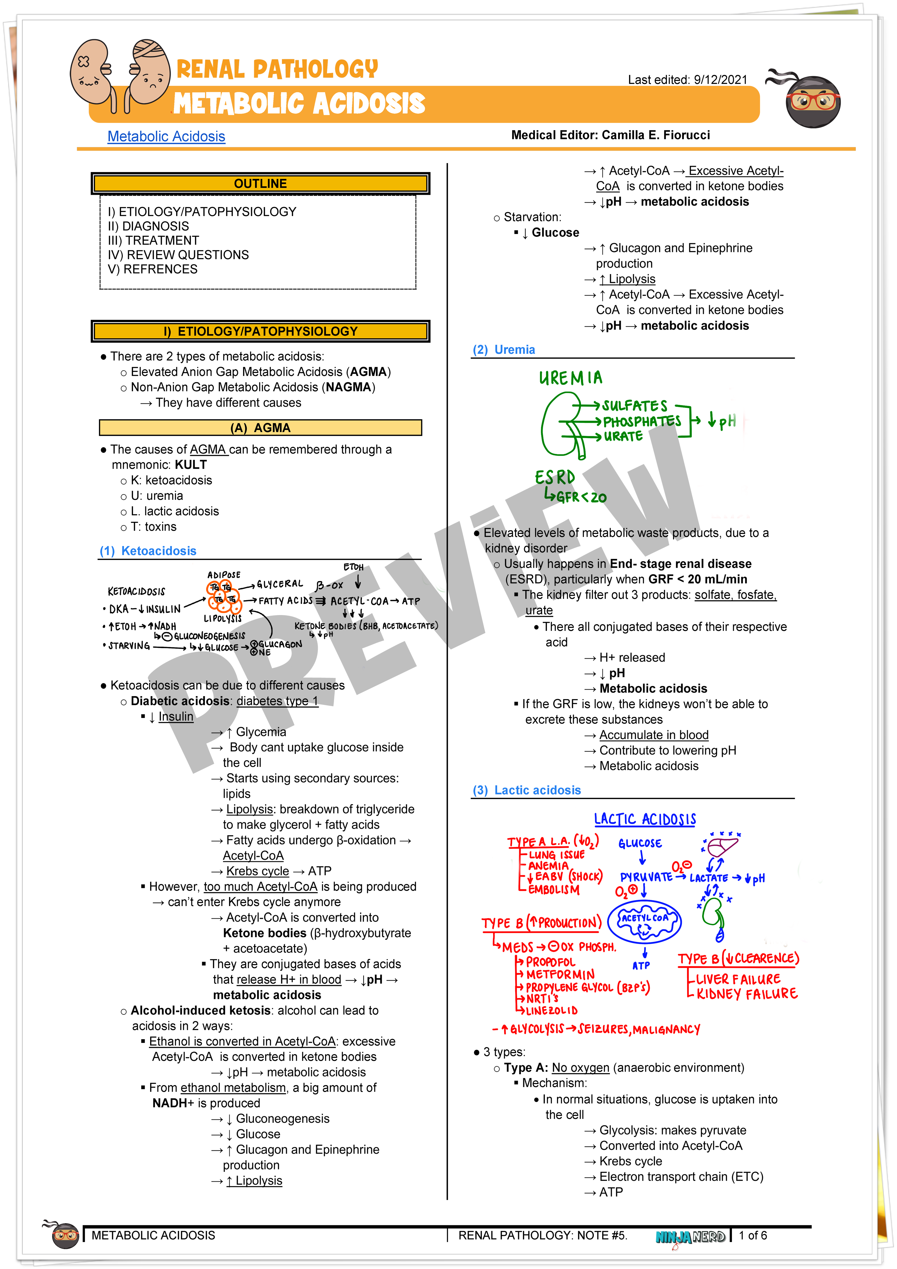 Metabolic Acidosis Notes NinjaNerd Medicine