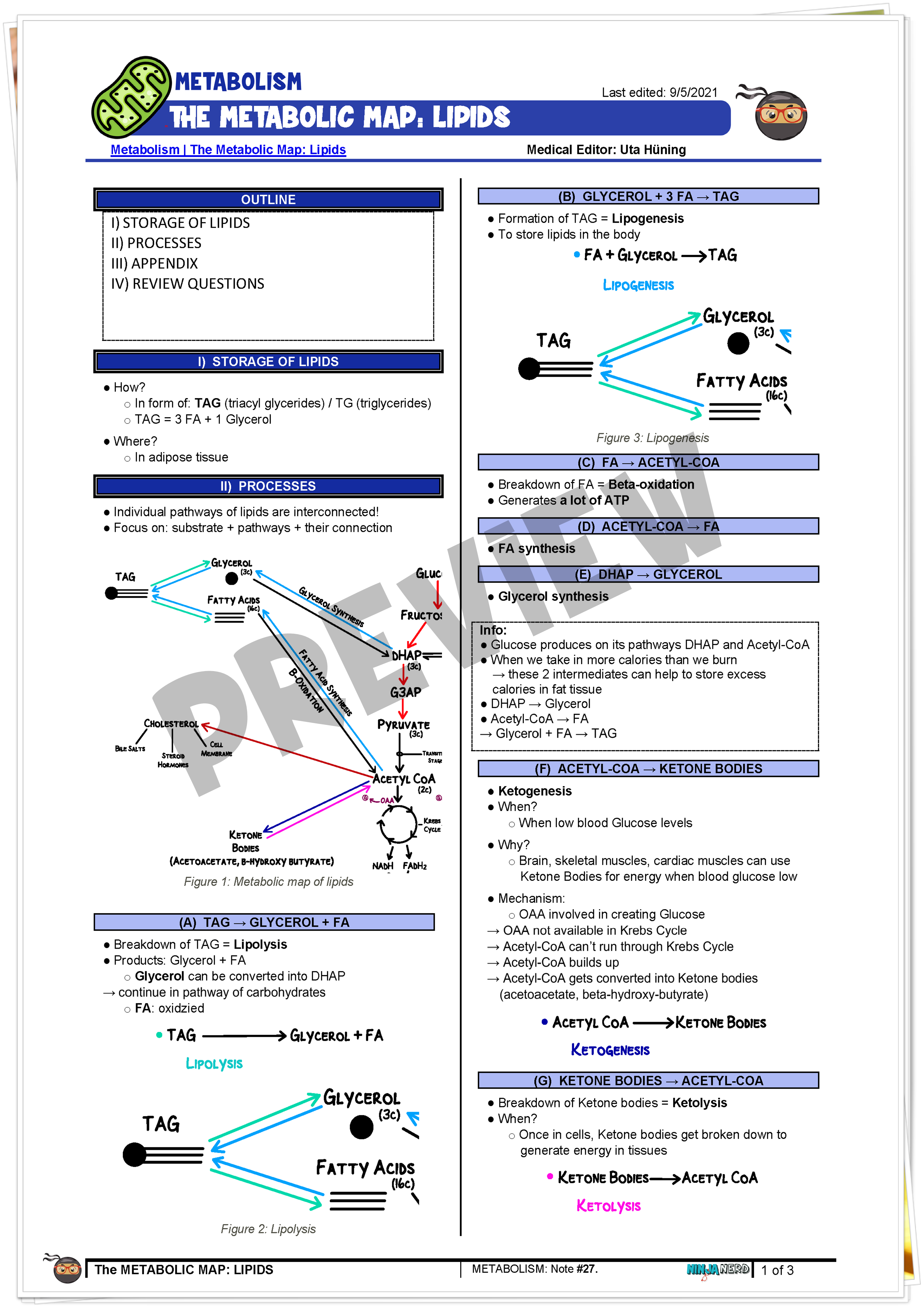 The Metabolic Map Lipids Notes NinjaNerd Medicine