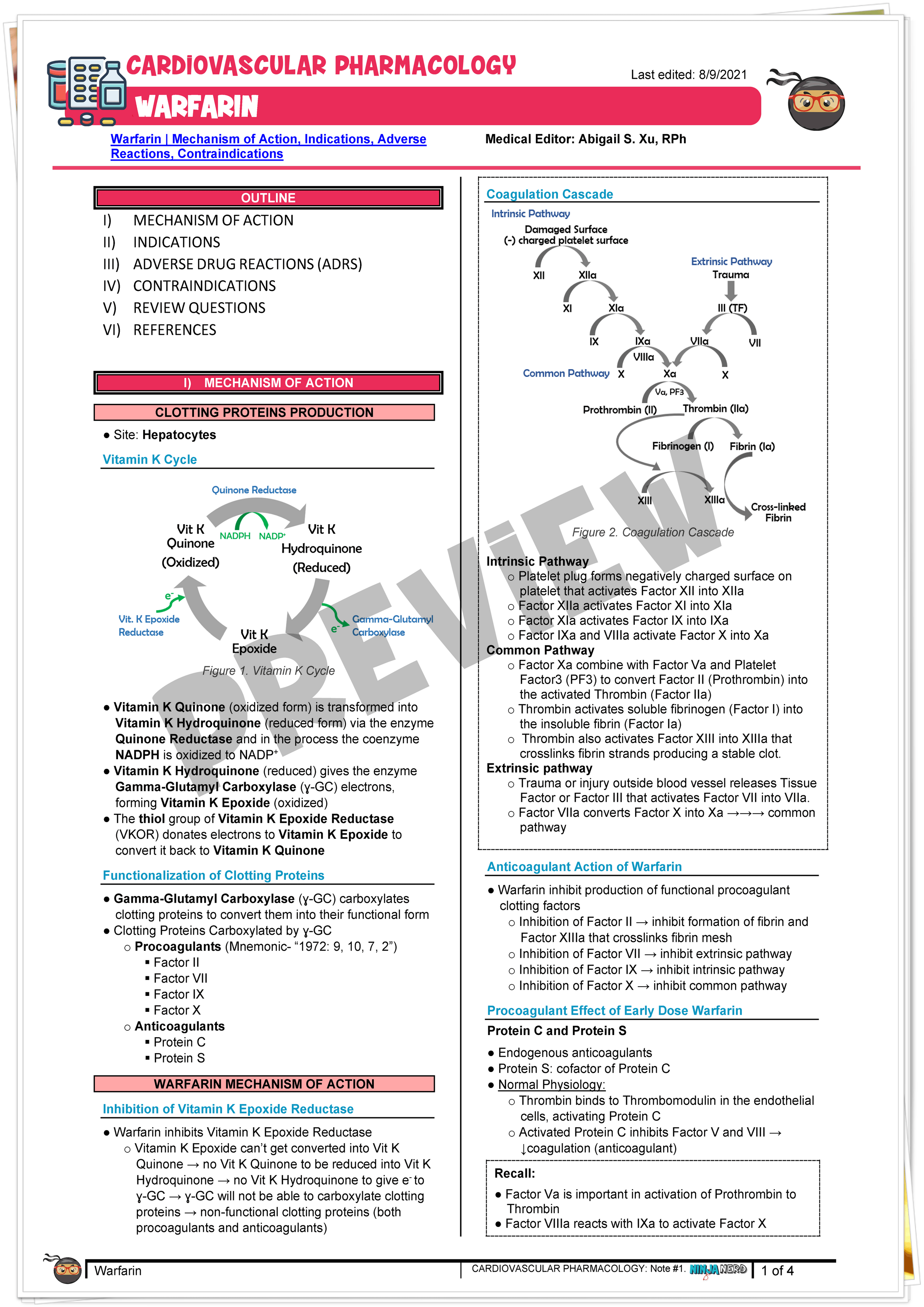 Warfarin Mechanism of Action, Indications, Adverse Reactions