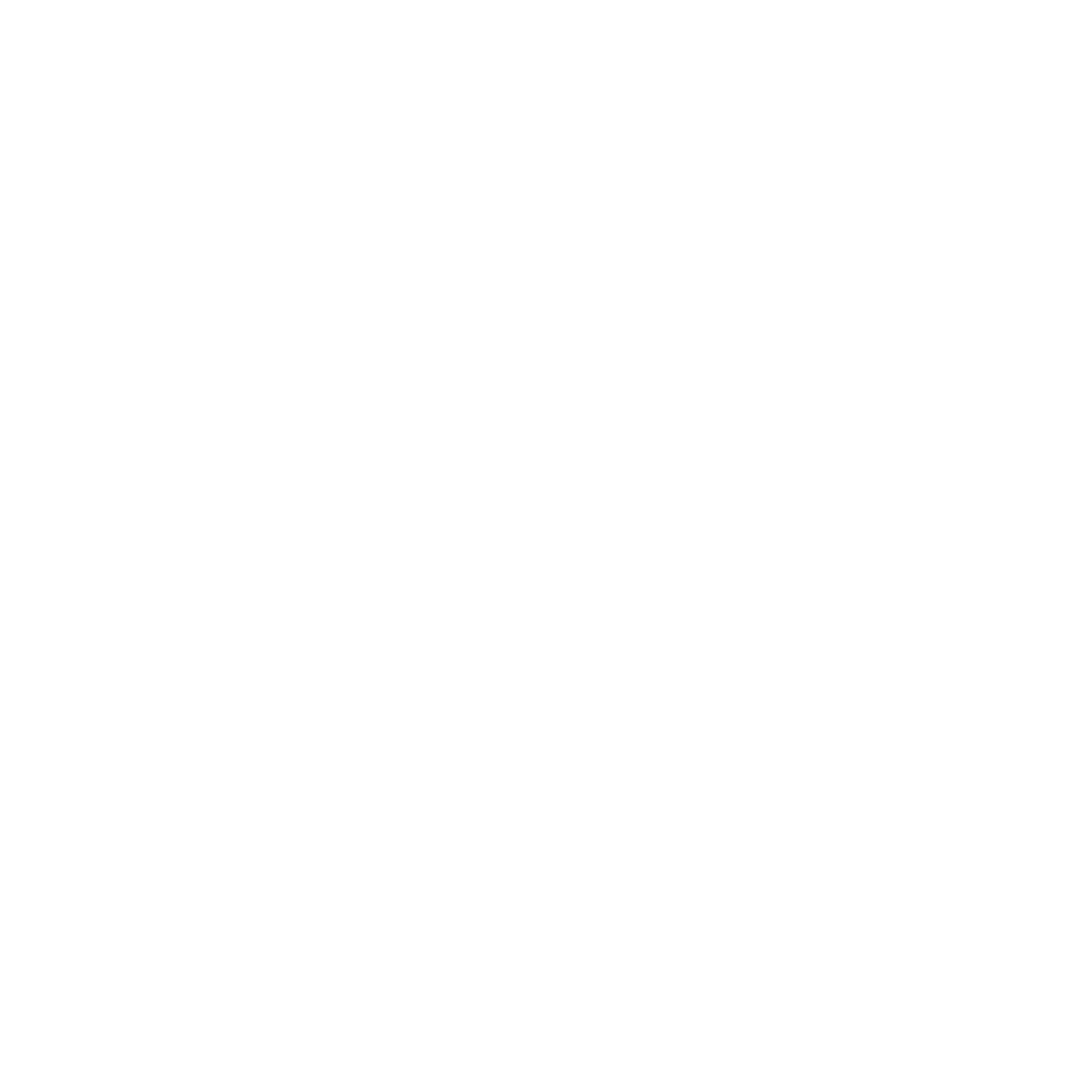 Fifty Six Shopify Plus & Marketing Agency