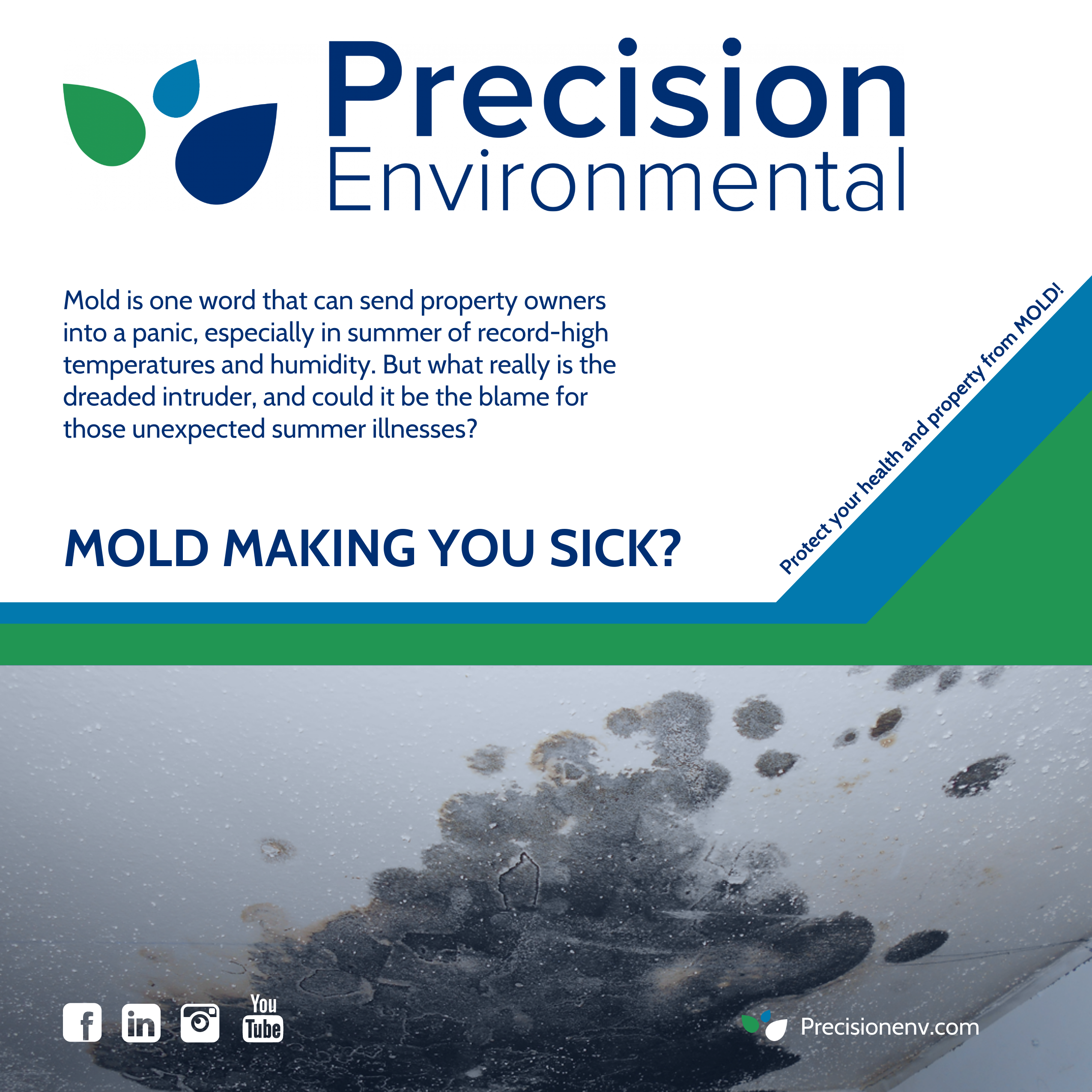 Mold Making You Sick? Exposure & Symptoms
