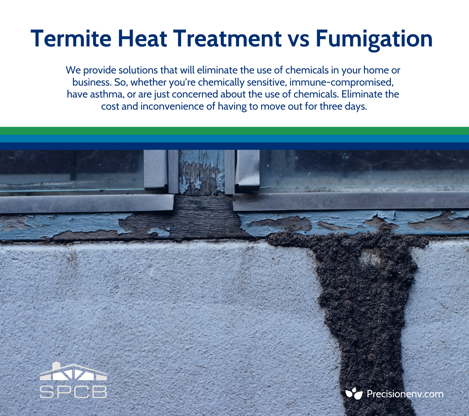 Termite Heat Treatment vs Fumigation