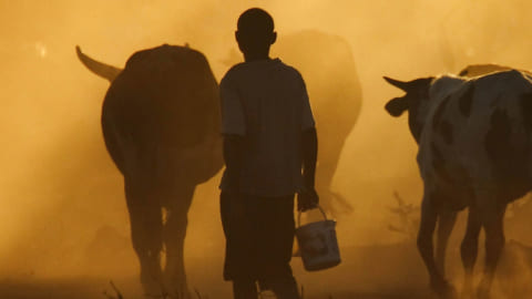 Photograph of a young Kenyan cattle herder
