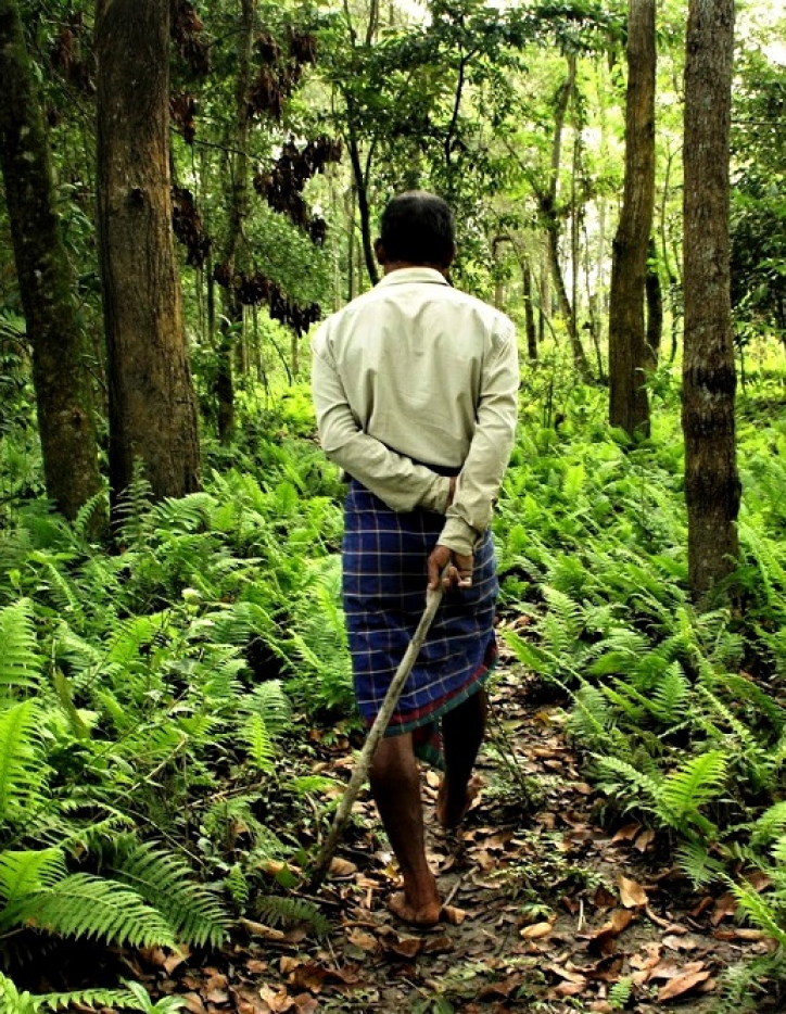 Forrest man of India in his human-made forest