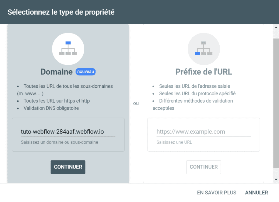 Insertion du nom de domaine pour validation de propriété par domaine dans Google Search Console