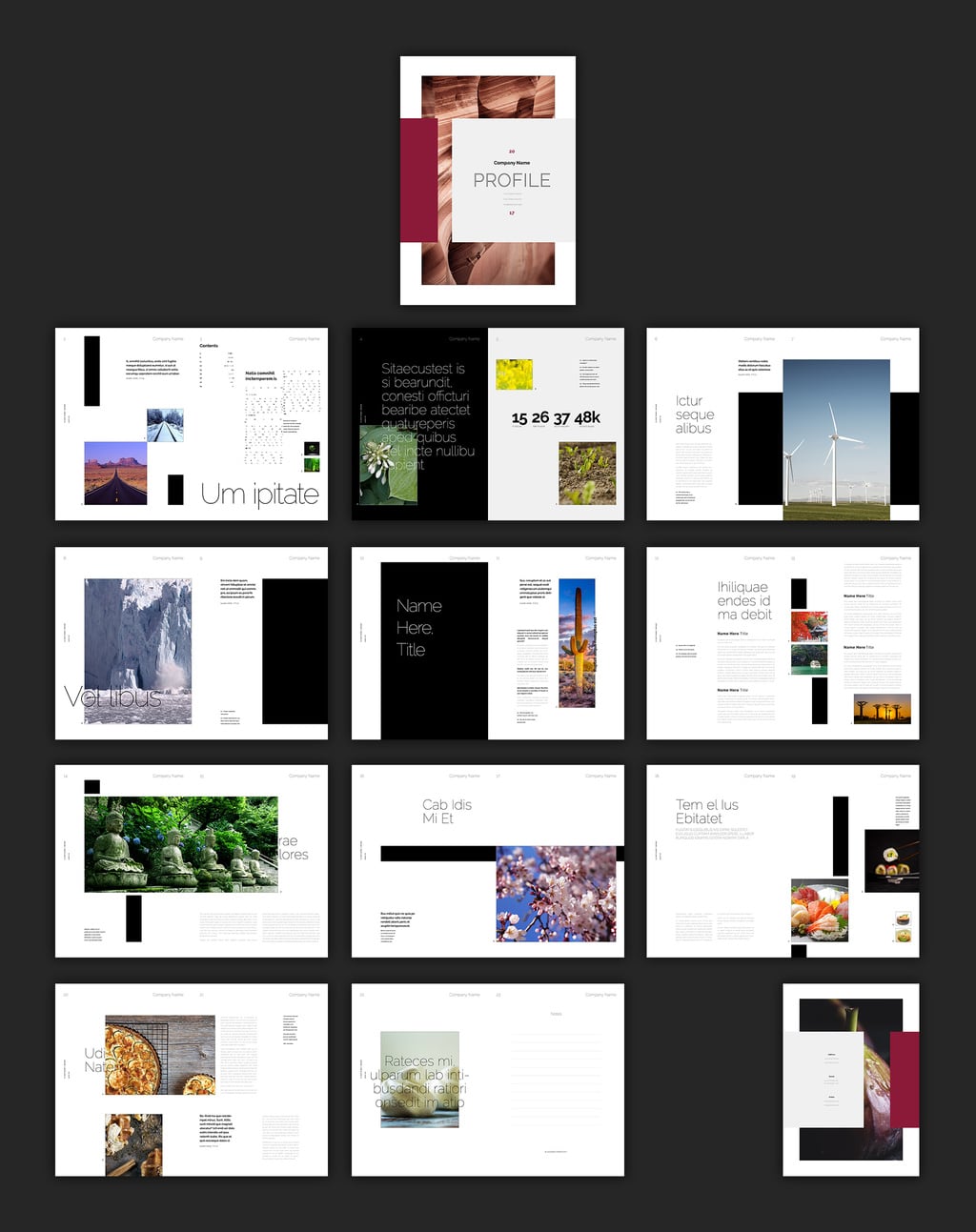 75 Fresh InDesign Templates (and where to find more) Redokun Blog