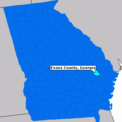 Evans County Map