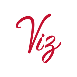 Viz Logo