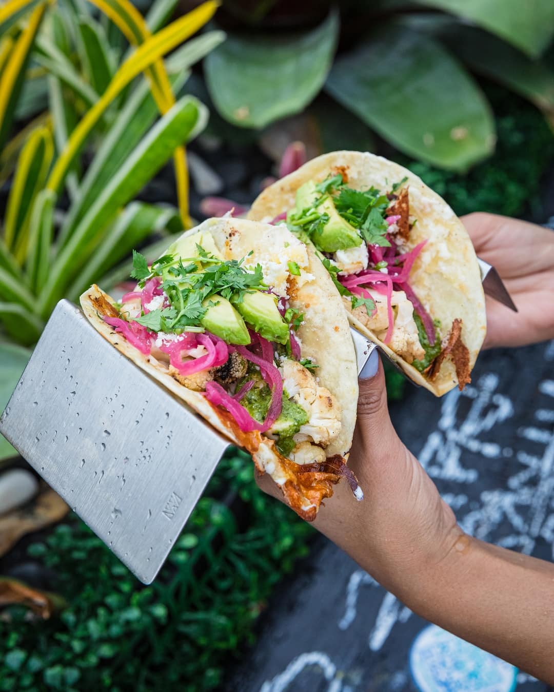 coyo-taco