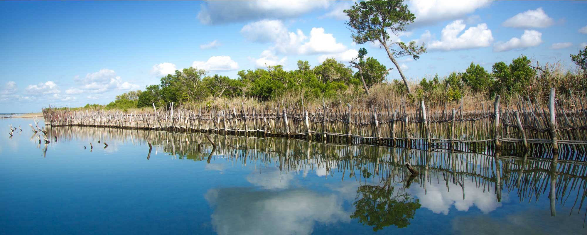 Ramsar Wetlands of International Importance