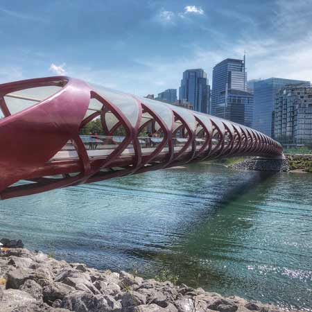 view of peace bridge in calgary