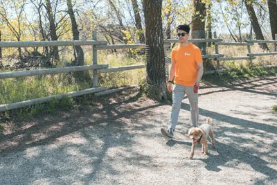 Male dog walker with a dog in a park