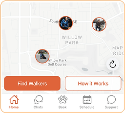 Graphic how to book a dog walk.png