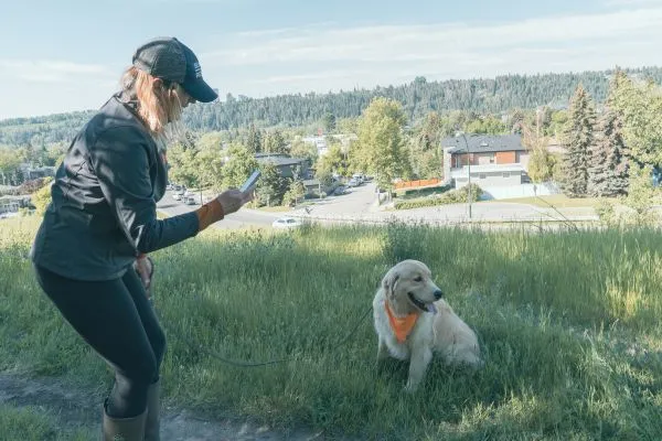 On-demand dog walker taking a picture of a dog while on a Spot Dog Walk.