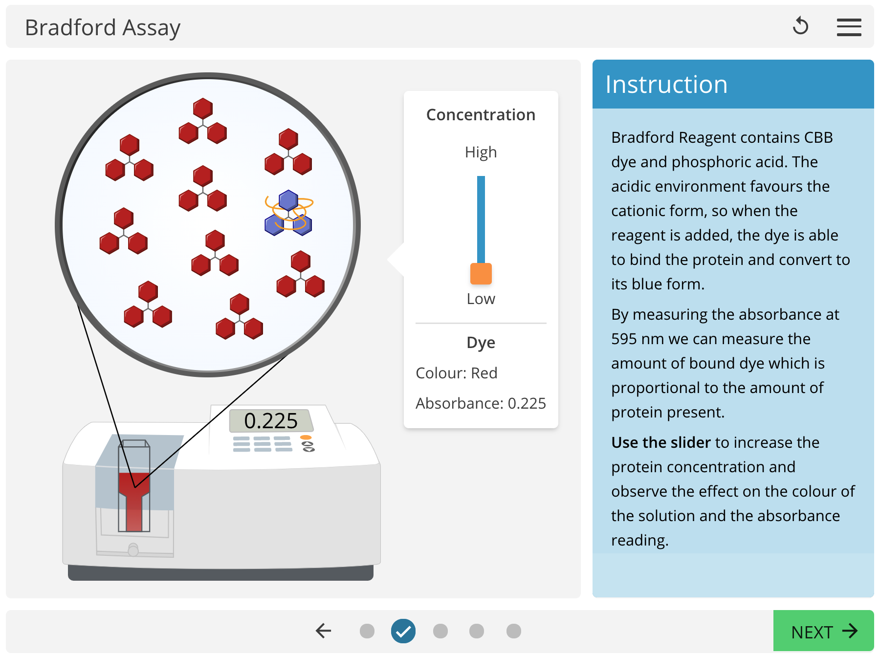 LearnSci LabSim Bradford Assay