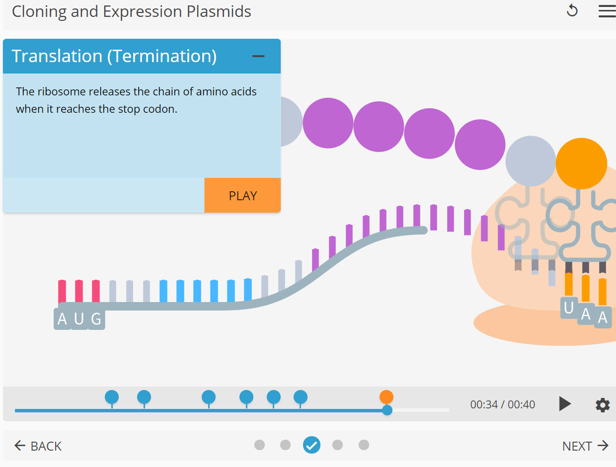 LearnSci LabSim Cloning and Expression Plasmids