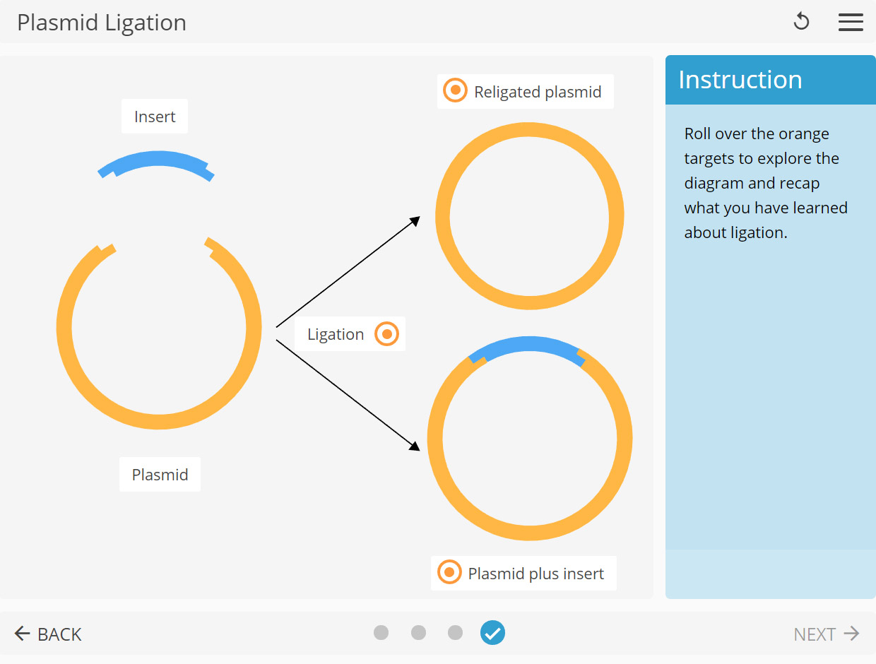 LearnSci LabSim Plasmid Ligation