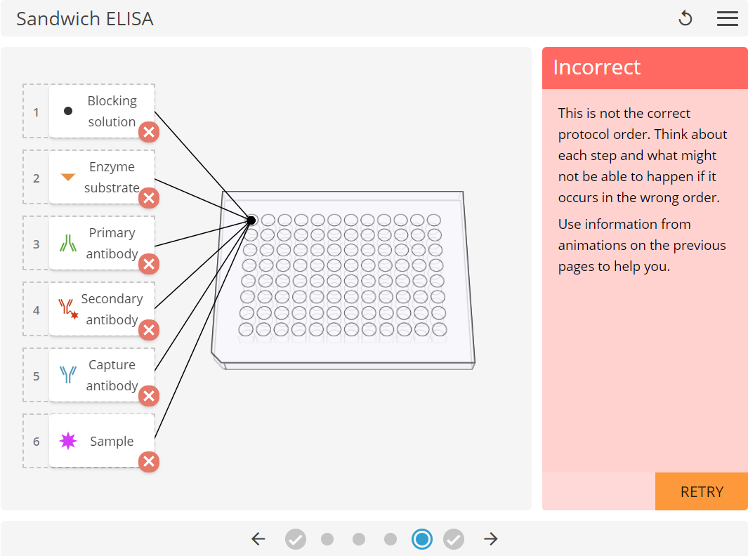 LearnSci LabSim: Sandwich ELISA