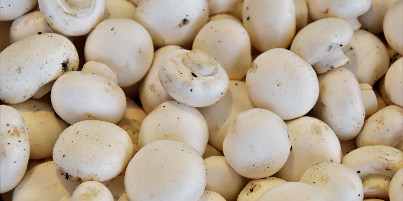 Mushrooms May Help Healthy Blood Sugar