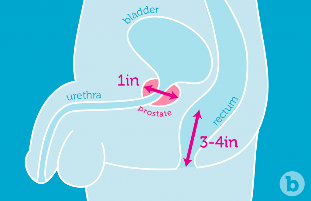 How to Give a Prostate Massage 1