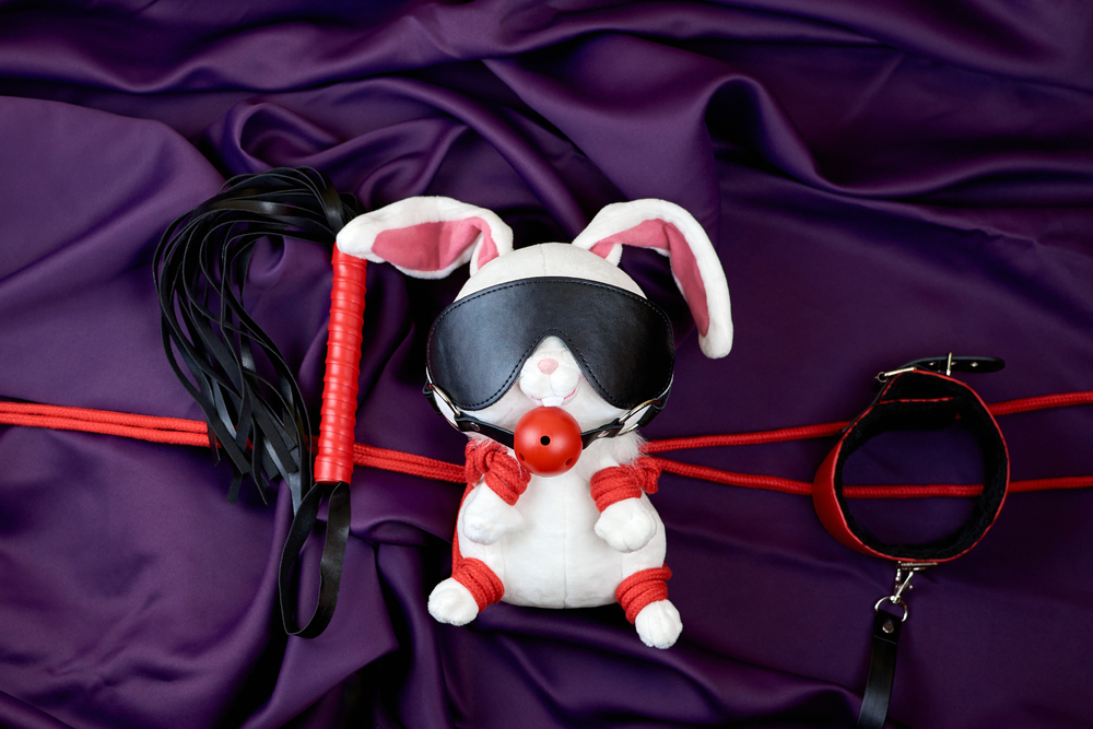 The Easter (Rope) Bunny's Kinky Meme Showcase