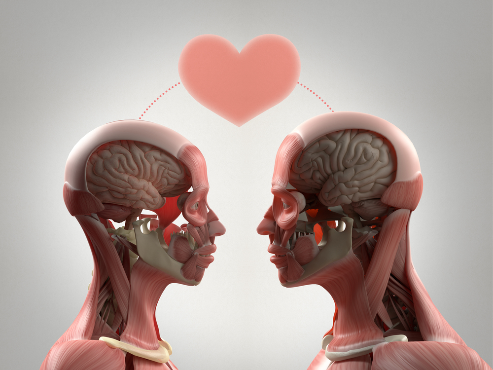 Turn Me On (Up There): What Neuroscience Says About the Brain's Role in Arousal & Orgasm