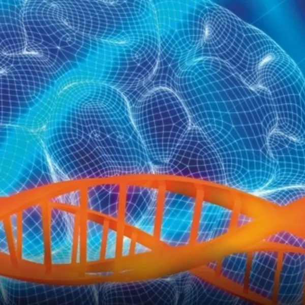 Healthcare Marketplace Capstone University of Minnesota