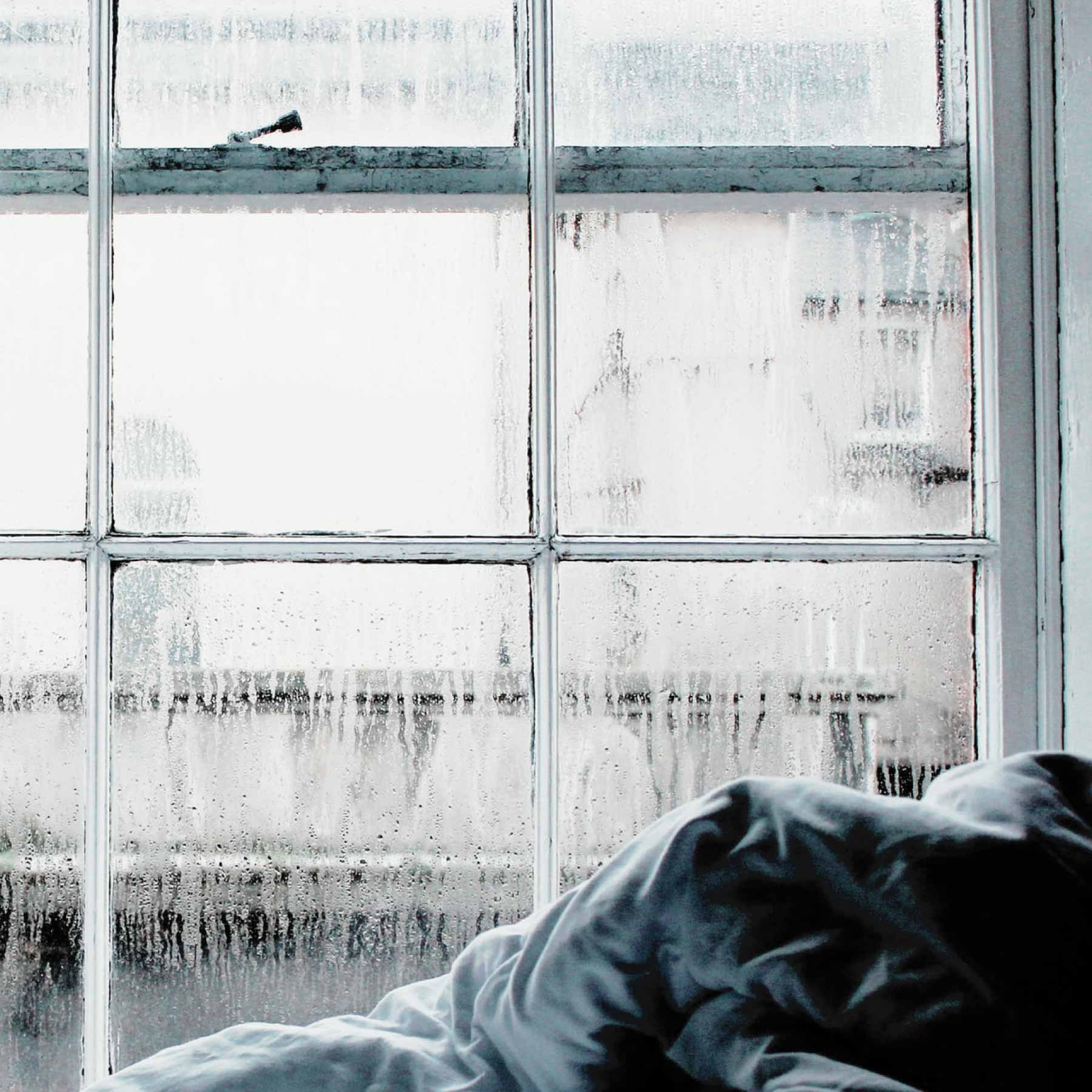 The Best Dehumidifier