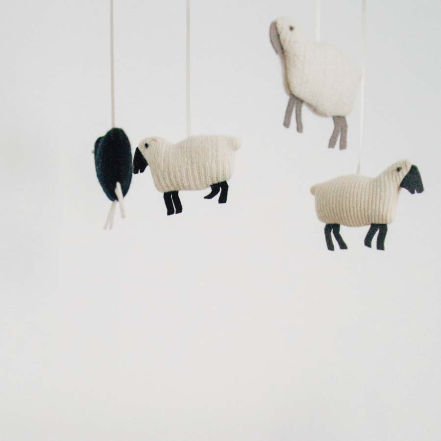 smallest baby capsule