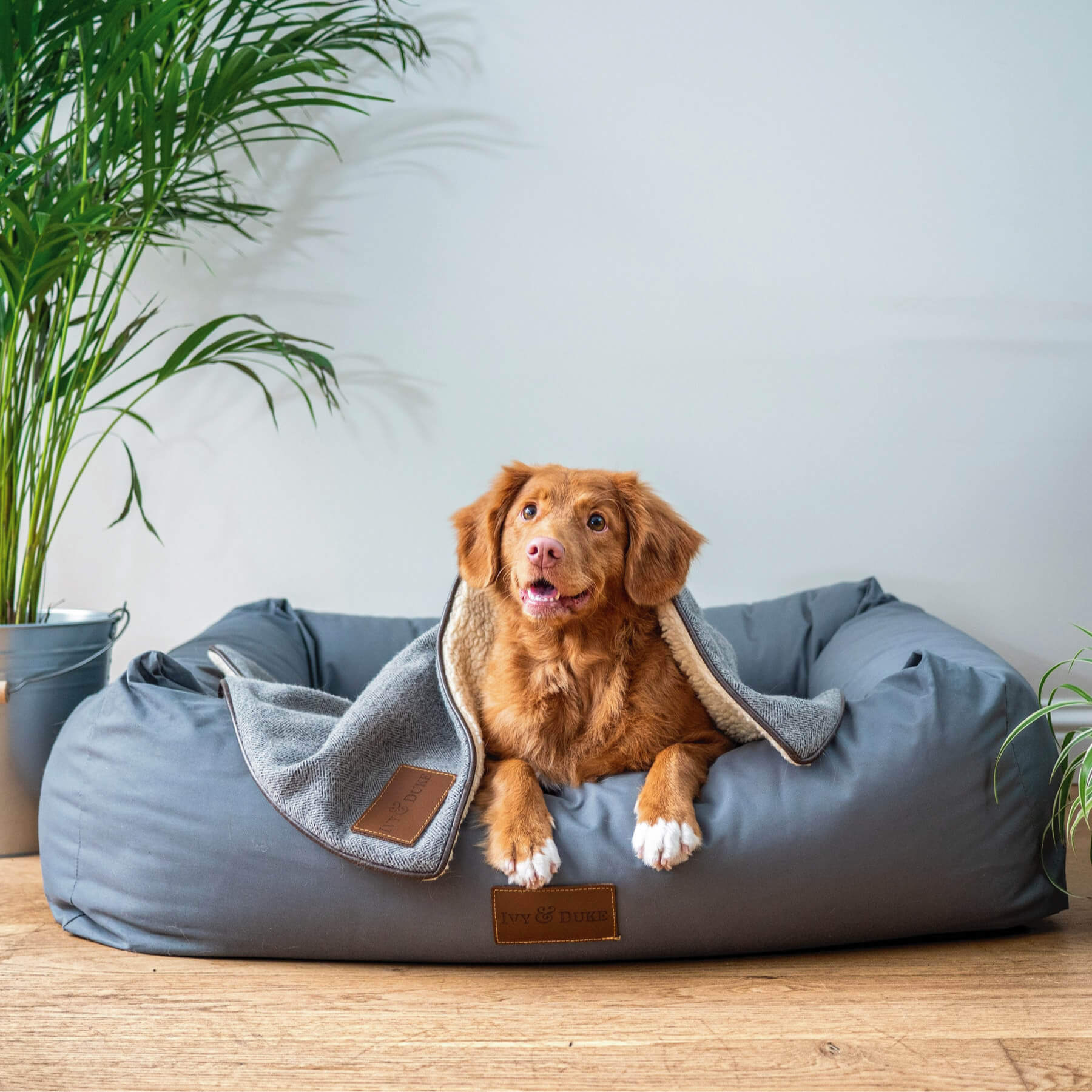 The Best Vacuum for Pet Hair