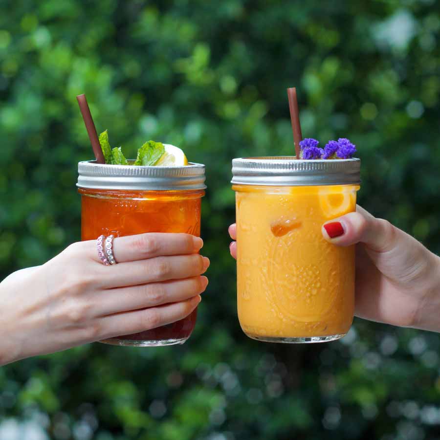 Juicer vs Blender